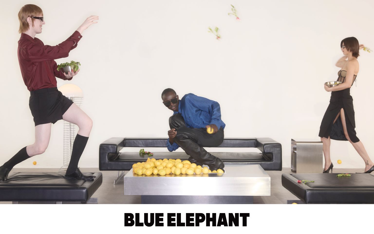 BLUE ELEPHANT